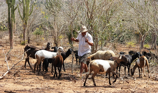 ze machado - santaluz 2- foto- raimundo mascarenhas