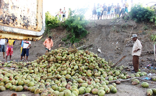 João Du Coco.3