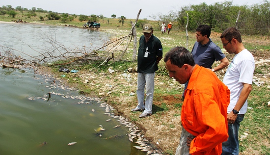 mortandade de peixes em coité