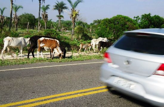 ACIDENTE EM NORDESTINA