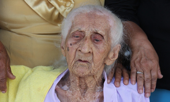 dona isabel