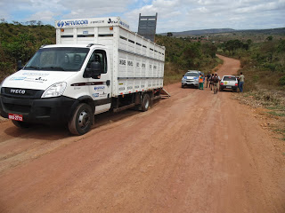caminhão