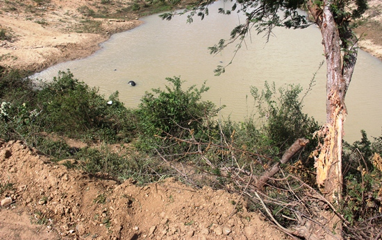 Manoel antes de cair na represa bateu nessa árvore. Ao lado esquerdo da foto dentro da aguada apenas um dos pneus exposto. 