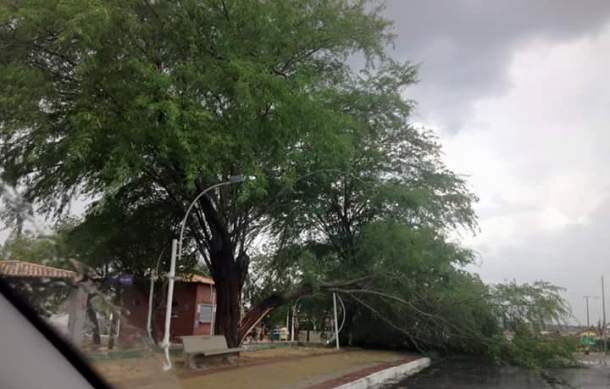 chuva na praça nemesio
