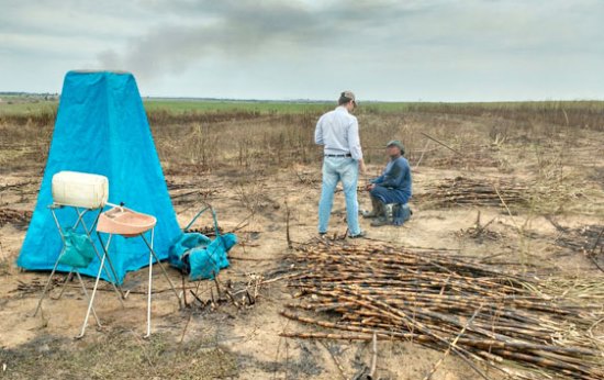 A força-tarefa classificou a situação como de escravidão moderna