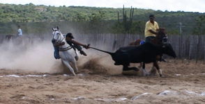 Foto: Raimundo Mascarenhas: arquivo