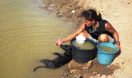 Povo agoniza por falta d'água na zona rural de Tucano – Calila Noticias