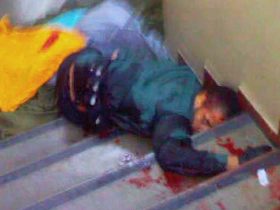 wellington - morto