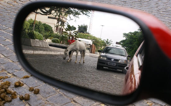 Cavalo come a grama do Banco do Nordeste - foto- Raimundo Mascarenhas