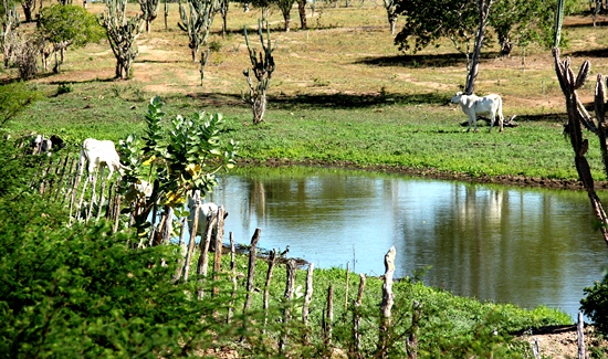 Em Riachão do Jacuípe aguadas de pequeno e médio porte receberam boa quantidade de água.