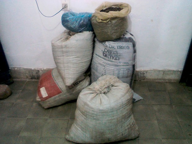 Maconha apreendida em Curaçá (Foto: Polícia Militar/ Divulgação)