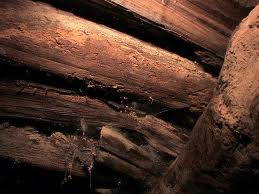 A foto mostra parte do que seria a estrutura da arca soterrada por material vulcânico há milhares de ano