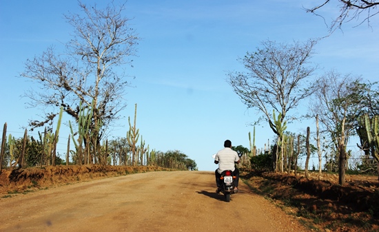 O trecho de 10 km da BR 324 até Barreiros está um pouco melhor que os 19 km de Barreiros a Retirolândia, onde encontra se encontra com a BA 120.