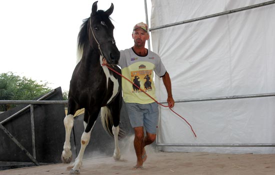 O tratador teve a missão de adaptar os animais a pista, que foi colocado areia sobre o madeirit.