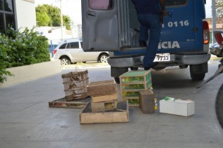 passaros feira