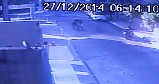 Câmera registra momento que o PM entrou em luta corporal com o bandido.