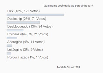 Flex ganhou disparado e deve ser assim chamado.