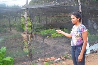 O convívio com a agricultura está motivando Verbênia cursar algo no setor.