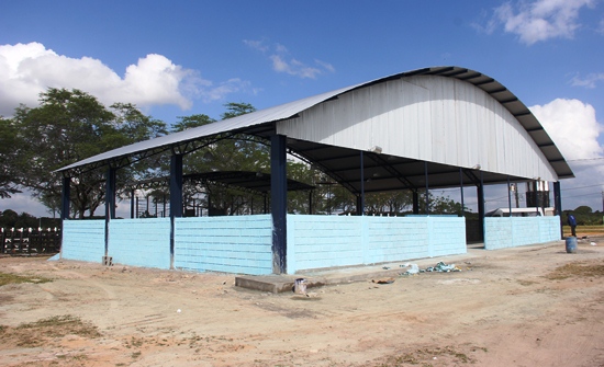 Espaço exclusivo para leilões será inaugurado.