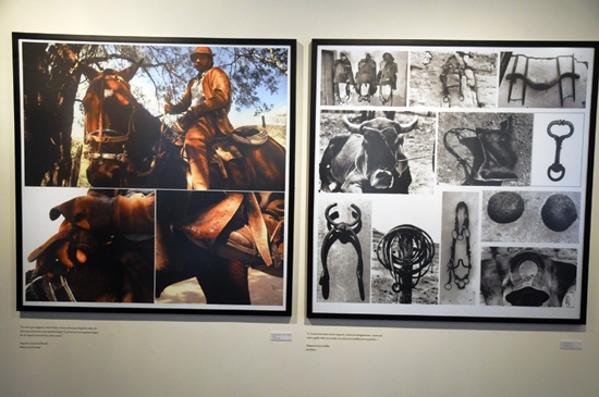 Abertura da Exposição" Imagens dos Vaqueiros da Bahia " realizada na galeria Solar Ferrão, localizada na rua Gregorio de Matos, Pelourinho, Centro Histórico, Salvador, Bahia. Foto: Josias Santos/IPAC, em 17/01/2014.