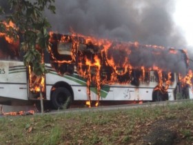 RTEmagicC_pindorama_bus.jpg