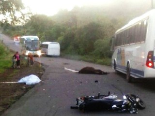 Motociclista e cavalo morreram depois de atropelamento na BR-110