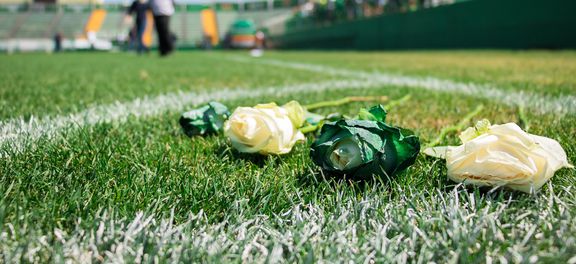 Chapecó (SC) - Arena Condá se transformou no ponto de reunião de torcedores, jogadores e parentes das vítimas que com cartazes, fotos e flores fazem homenagem a equipe que morreu no acidente (Daniel Isaia/Agência Brasil)