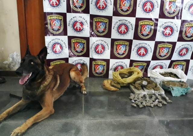 Com ajuda de cÃ£o farejador, Rondesp apreende droga enterrada; suspeito de trÃ¡fico morre em confronto