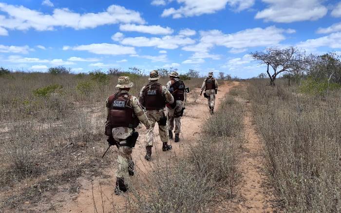 Cipe Nordeste erradica maconha em Monte Santo