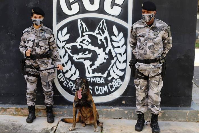 Cão farejador do Batalhão de Choque se aposenta e ganha novo lar