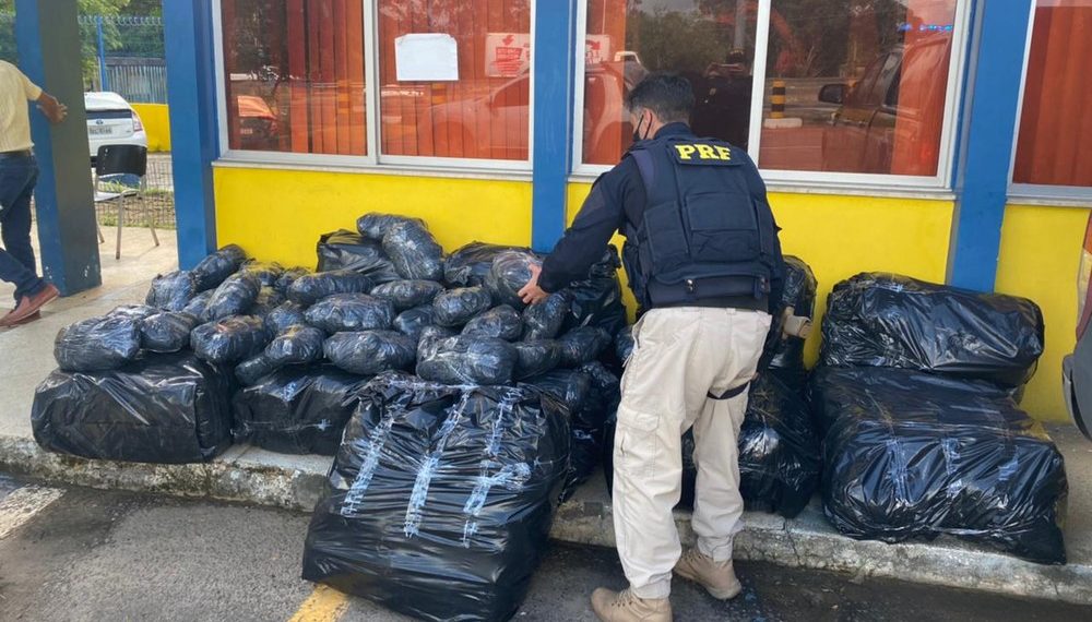 Mais de 260 kg de maconha são encontrados em caminhonete após motorista quebrar cancela de pedágio durante fuga